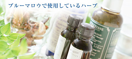 ハーブ