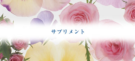 現代のサプリメント